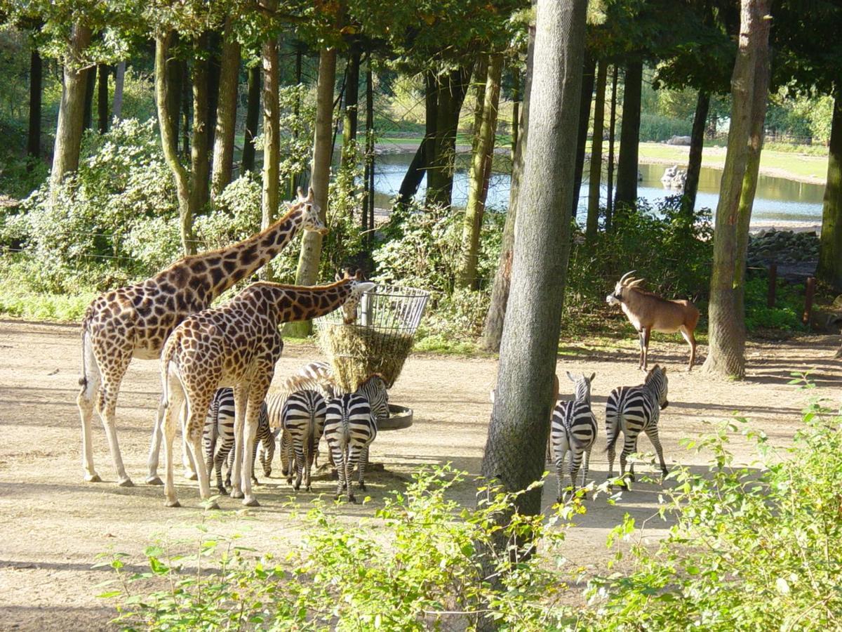 Europarcs De Hooge Veluwe Hotel อาร์นเฮม ภายนอก รูปภาพ